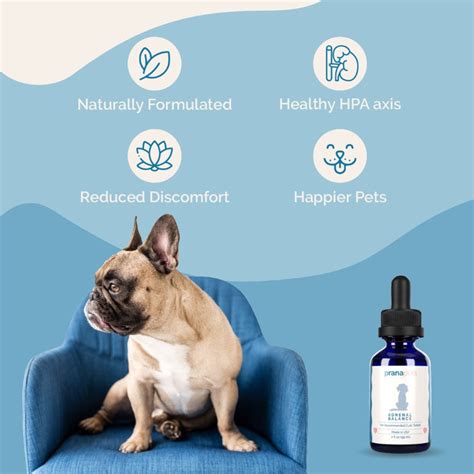 prana adrenal support for dogs.